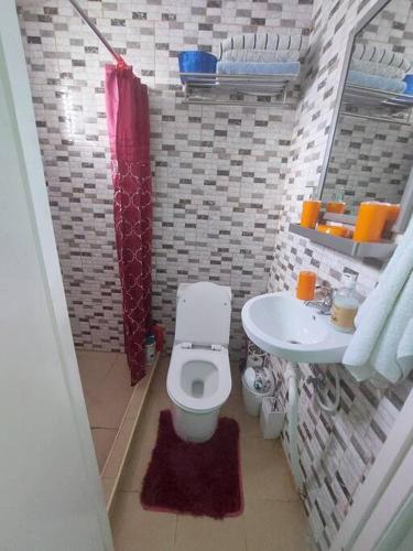 a small bathroom with a toilet and a sink at cozy central apartment in the city in Willemstad