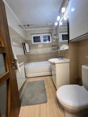 a bathroom with a toilet and a sink and a tub at Debo Apartament in Lugoj