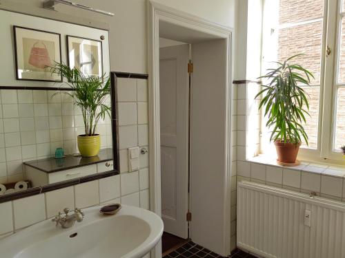 uma casa de banho com um lavatório e dois vasos de plantas em Epic Location em Dusseldorf