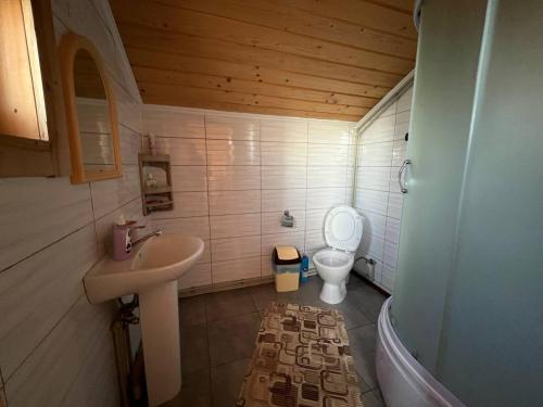 ein Bad mit einem Waschbecken und einem WC in der Unterkunft Шпінь 2 in Worochta