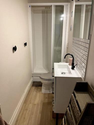 uma casa de banho branca com um WC e um lavatório em Joli appartement centre-ville em Caen