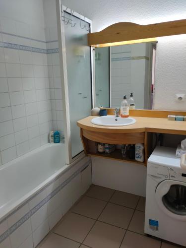 une salle de bain avec un lavabo et un miroir et une machine à laver dans l'établissement Chez Maxime Pre du Moulin, à Briançon