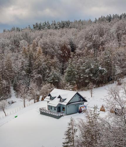a small house in the snow with trees at Antkowe Wzgórze in Polańczyk