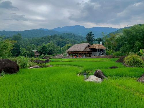un campo de hierba verde con una cabaña en el fondo en Ha Giang Yolo House and Loop Tours en Ha Giang