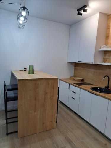 Una cocina o zona de cocina en Apartman ISKRA Villa Mont