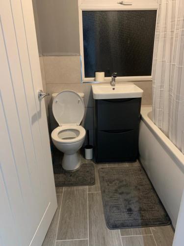 a bathroom with a toilet and a sink at stranmillis Suites in Belfast