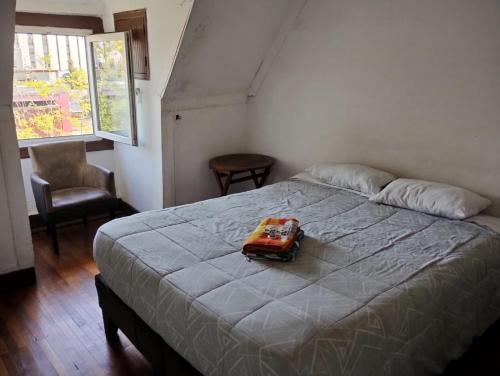 Un dormitorio con una cama con una maleta. en Wild Bellavista Hostel, en Santiago