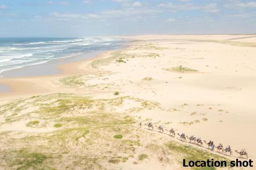 a group of people walking on the beach at Bel Air, 8A Ocean Ave - pet friendly, water views and air con in Anna Bay