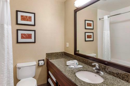 La salle de bains est pourvue d'un lavabo, de toilettes et d'un miroir. dans l'établissement Comfort Suites Near Six Flags Magic Mountain, à Stevenson Ranch