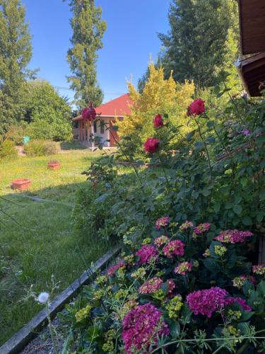 庫里科的住宿－Casa en entorno natural，鲜花盛开的花园,后方的房子