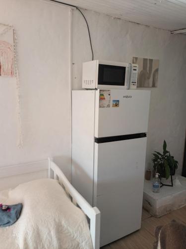 een magnetron bovenop een koelkast in een kamer bij Mahatma x habitación in Tacuarembó
