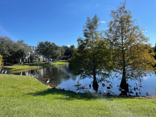 House close Baldwin-park Lake & Downtown Orlando photo 36