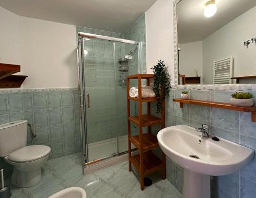 a bathroom with a shower and a sink and a toilet at Apartamento El Pilar in Güéjar-Sierra