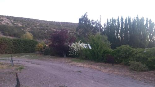 uma estrada de terra com arbustos e árvores numa colina em Dpto rosales em Los Antiguos