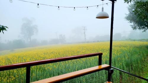 a bench sitting in front of a field with a fog at Heaven Hill Camping in Ban Thung Na