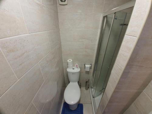 a bathroom with a toilet and a glass shower at Eastwood Rooms in Goodmayes
