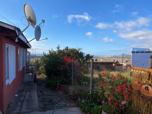 um jardim com flores e uma casa com antena em Alojamiento Pichidangui em Pichidangui