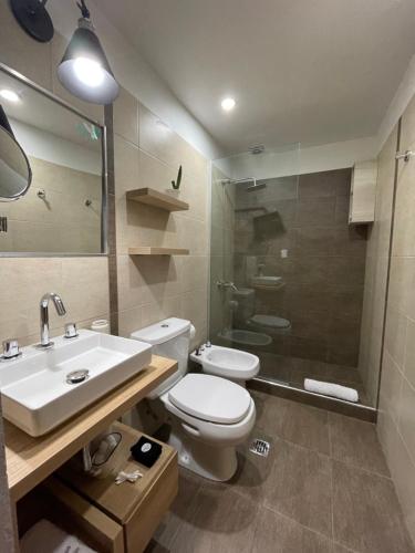 ein Bad mit einem WC, einem Waschbecken und einer Dusche in der Unterkunft Ayres home in Mendoza