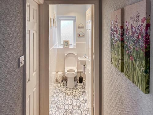 a bathroom with a toilet and a sink at Sea View Cottage in Llandrillo-yn-Rhôs