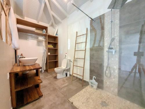 a bathroom with a shower and a sink and a toilet at cannelle in Sainte-Anne