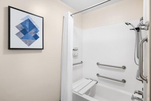 baño con ducha y una foto en la pared en Candlewood Suites Sioux Falls, an IHG Hotel, en Sioux Falls