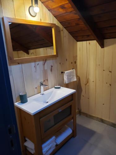 La salle de bains est pourvue d'un lavabo et d'un miroir. dans l'établissement Chapa atrás - SalePatagonia, à San Martín de los Andes