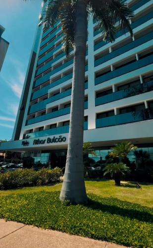 a palm tree in front of a building at Flat hotel Athos Bulcão. in Brasilia