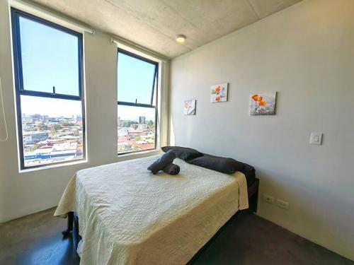 1 dormitorio con 1 cama y 2 ventanas en 906A URBN Barrio Escalante Estudio con A/C y Parqueo, en San José