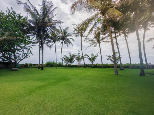 a field of green grass with palm trees at Villa Prinsessa in Siyut