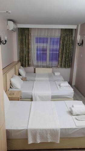 イスタンブールにあるHOTEL DUNAYの窓付きの部屋 ベッド2台