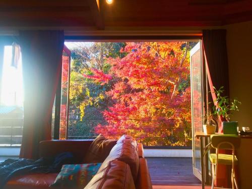 a window with a view of a tree with red leaves at 極楽寺邸 - Gokurakuji House in Kamakura