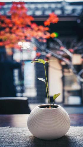 Galeriebild der Unterkunft Yangzhou Aihehua Boutique Homestay in Yangzhou