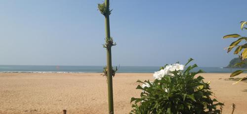 two palm trees on a sandy beach near the ocean at Monsoon in Agonda