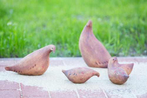 a group of bird figurines sitting on a sidewalk at Apartment Zelená zahrada in Mladá Vožice