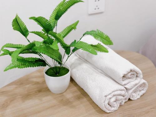 a green plant sitting on a table next to towels at The Sóng An Gia Vũng Tàu- Tropical Apartment in Vung Tau