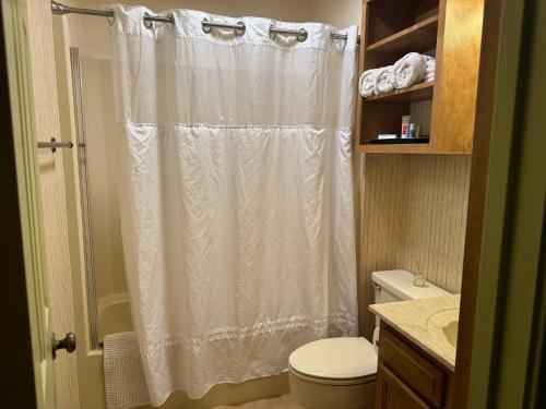 a bathroom with a shower curtain and a toilet at A Bliss of Color Townhouse in Jackson