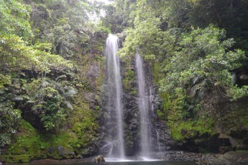 a waterfall in the middle of a forest at HOTEL E-horizon Resort コンドミニアム瀬底 in Motobu