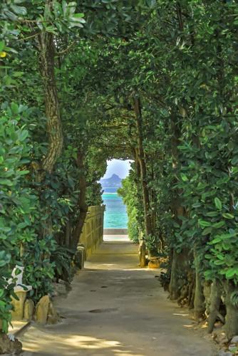 a path through a forest with the ocean in the background at HOTEL E-horizon Resort コンドミニアム瀬底 in Motobu