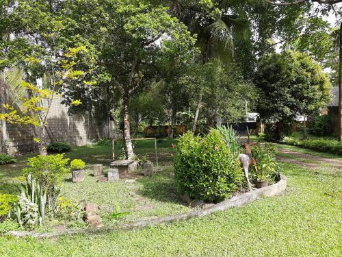 a garden with a horse standing in the grass at Would Villa Mirissa in Mirissa