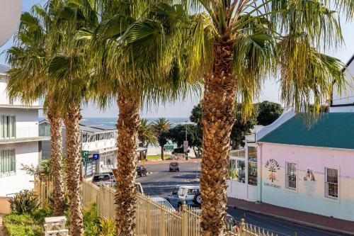 two palm trees in front of a street at Camps Bay Village - Studios and Apartments in Cape Town