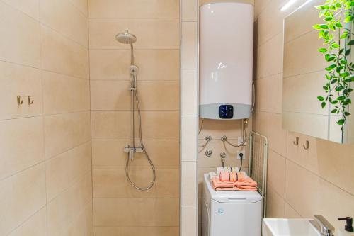 Flexible SelfCheckIns 61 & 62 - Zagreb - New - Center