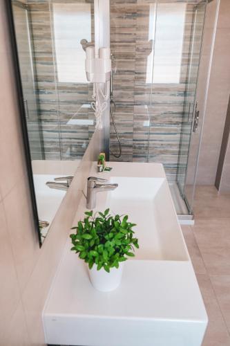 a bathroom with a white sink with a plant in it at Verde Blu Vacanze B&B in Torre Lapillo