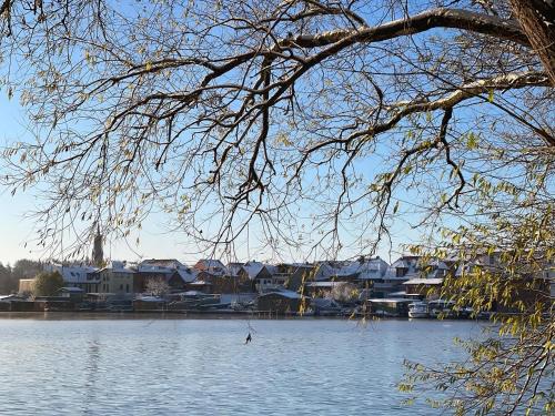 Naturlandskabet i nærheden af lejligheden
