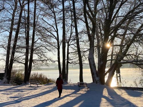 Naturlandskabet i nærheden af lejligheden