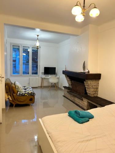 a large living room with a fireplace and a couch at Grand logement Centre Ville Massy in Massy