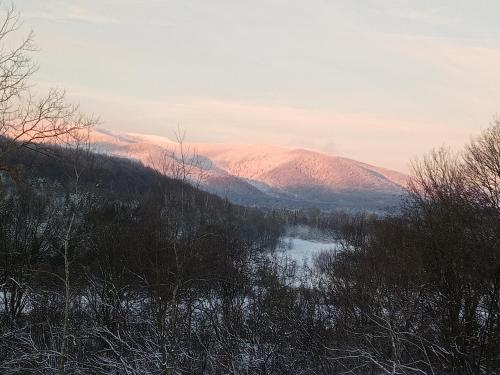 a view of a river with mountains in the background at U Gabrysia i Tatiany in Ustrzyki Górne