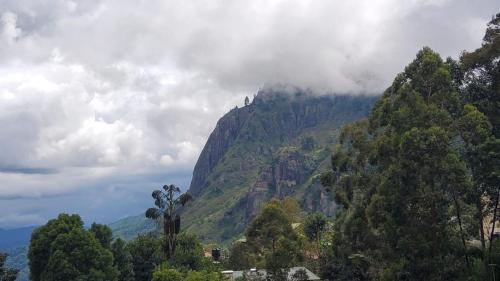 a mountain with trees and clouds in the sky at The Rock Face in Ella