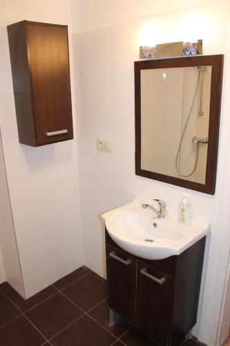 a bathroom with a sink and a mirror at Suterénový apartmán v centre in Piešťany