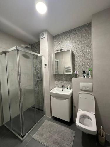 a bathroom with a shower and a toilet and a sink at Family Corner Bjelašnica in Bjelašnica