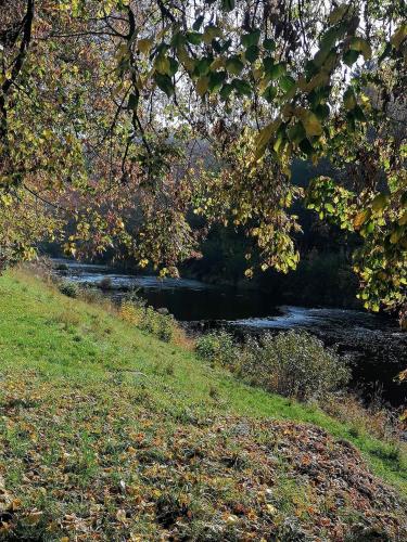 a river in the middle of a field with trees at Tiny Treperka in Semily